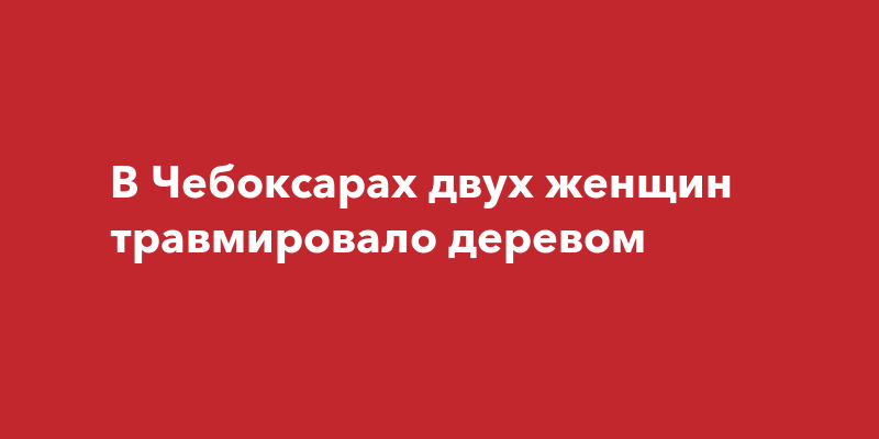 В Чебоксарах двух женщин травмировалодеревом