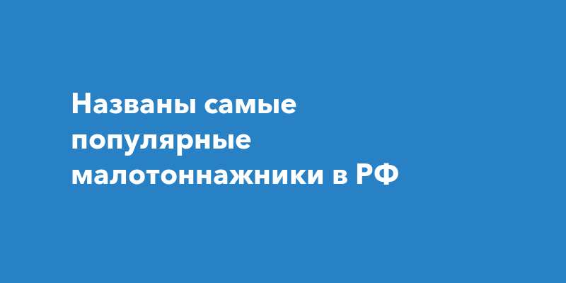 Названы самые популярные малотоннажники в РФ